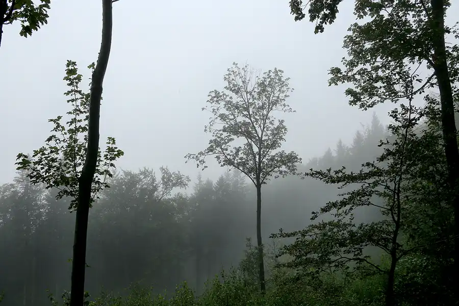 001 | 2020 | Park Krajobrazowy Gór Sowich – Landschaftsschutzpark Eulengebirge | © carsten riede fotografie