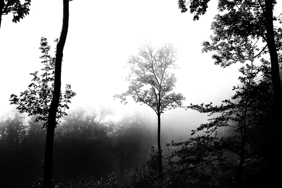 002 | 2020 | Park Krajobrazowy Gór Sowich – Landschaftsschutzpark Eulengebirge | © carsten riede fotografie