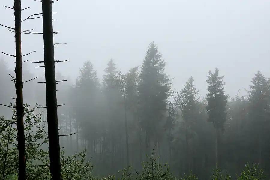 003 | 2020 | Park Krajobrazowy Gór Sowich – Landschaftsschutzpark Eulengebirge | © carsten riede fotografie