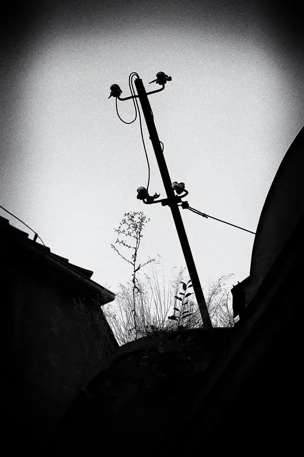 017 | 2020 | Ścinawka Górna | Pałac w Sarnach – Schloss Scharfeneck | © carsten riede fotografie