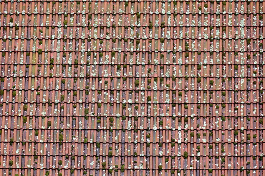 024 | 2020 | Pilchowice | Jezioro Pilchowickie – Bobertalsperre | © carsten riede fotografie