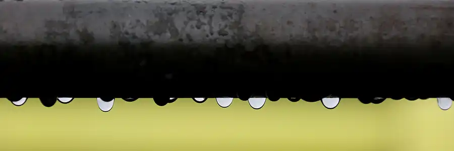 027 | 2020 | Pilchowice | Jezioro Pilchowickie – Bobertalsperre | © carsten riede fotografie