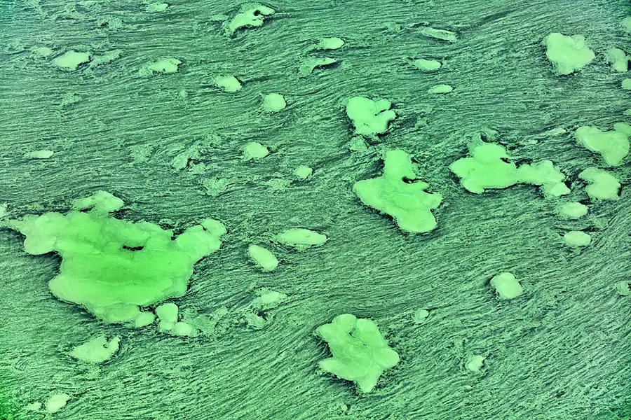 033 | 2020 | Pilchowice | Bóbr – Bober | © carsten riede fotografie