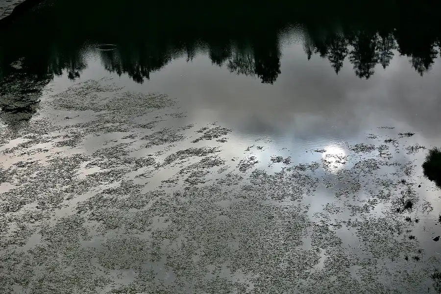 034 | 2020 | Pilchowice | Bóbr – Bober | © carsten riede fotografie