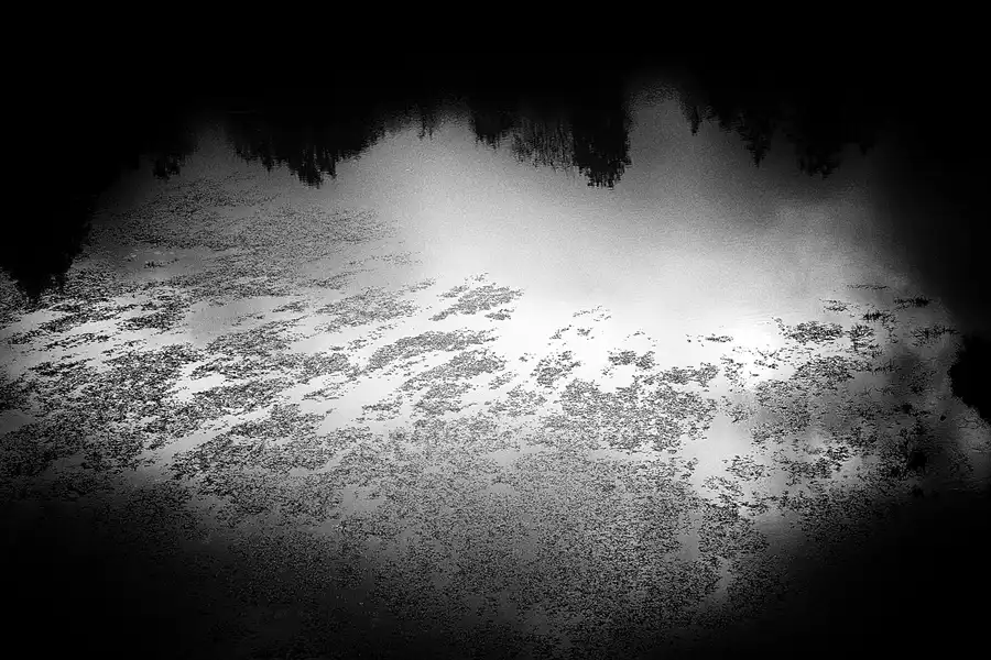 035 | 2020 | Pilchowice | Bóbr – Bober | © carsten riede fotografie