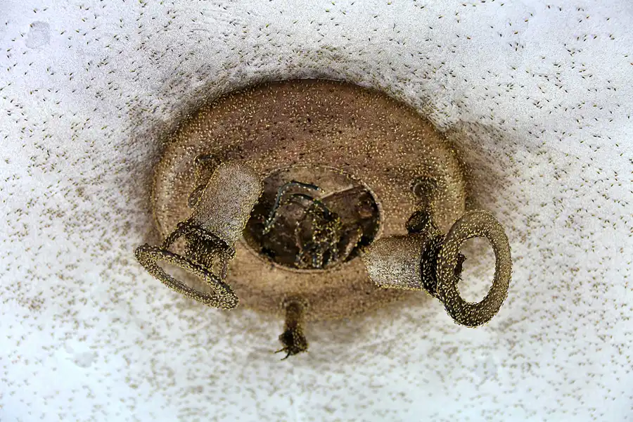 032 | 2020 | Bad Blankenburg | Sanatorium Schwarzeck | © carsten riede fotografie