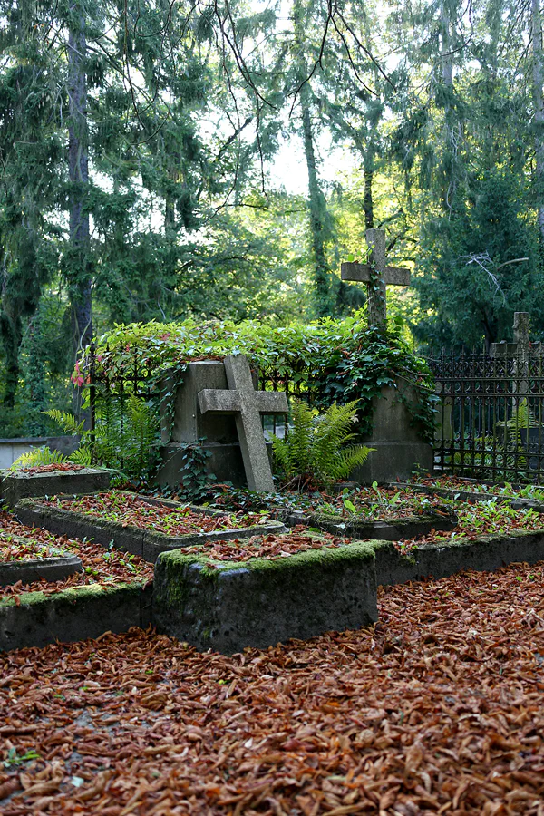 017 | 2020 | Weimar | Historischer Friedhof | © carsten riede fotografie