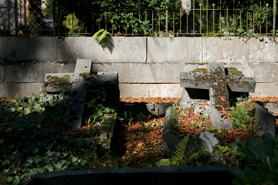 019 | 2020 | Weimar | Historischer Friedhof | © carsten riede fotografie