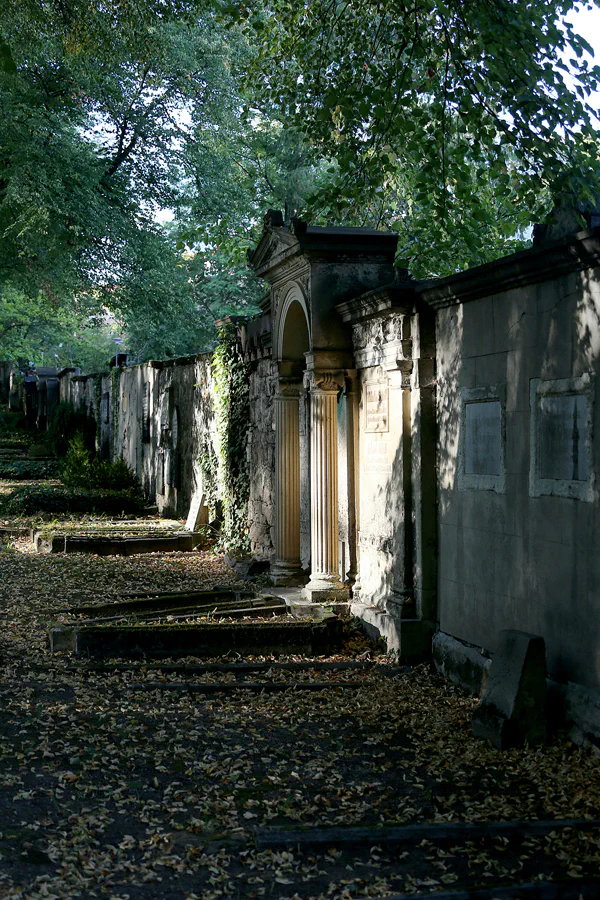 048 | 2020 | Weimar | Historischer Friedhof | © carsten riede fotografie