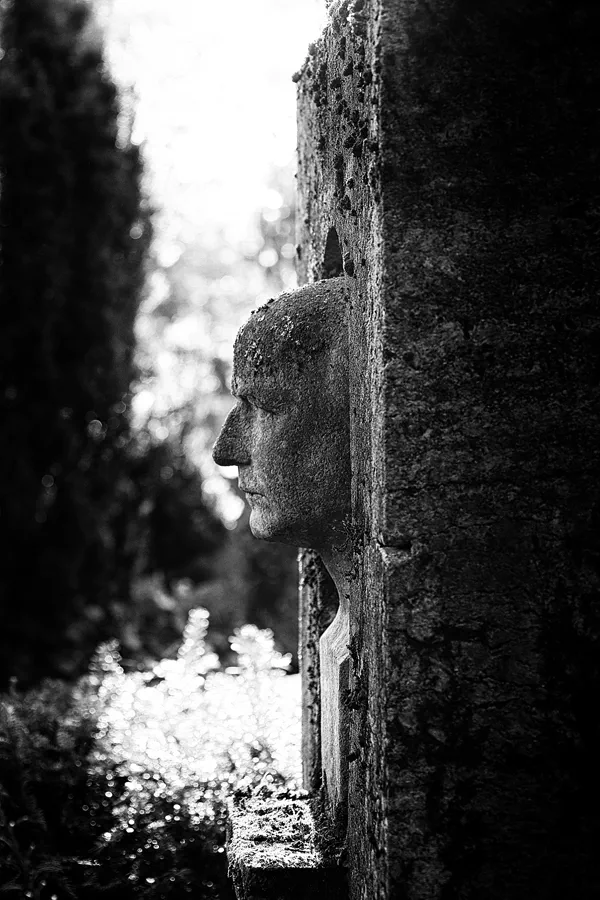 051 | 2020 | Weimar | Historischer Friedhof | © carsten riede fotografie