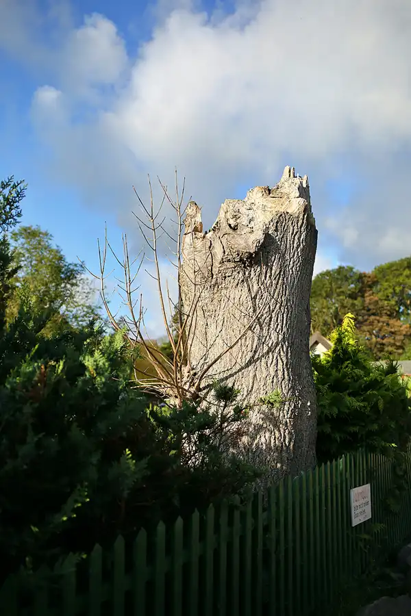 006 | 2020 | Vitt | © carsten riede fotografie