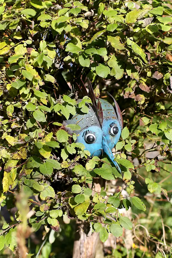 016 | 2020 | Kap Arkona | © carsten riede fotografie