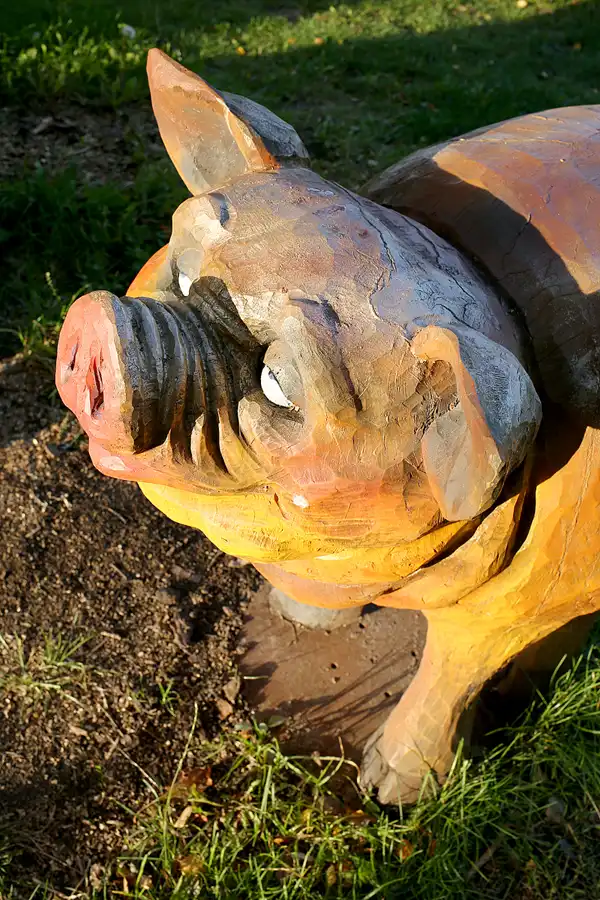 055 | 2020 | Putgarten | © carsten riede fotografie