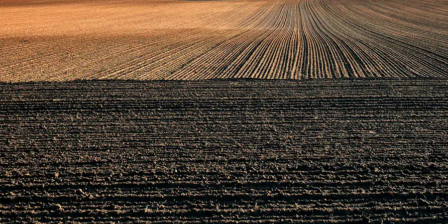 065 | 2020 | Putgarten | © carsten riede fotografie