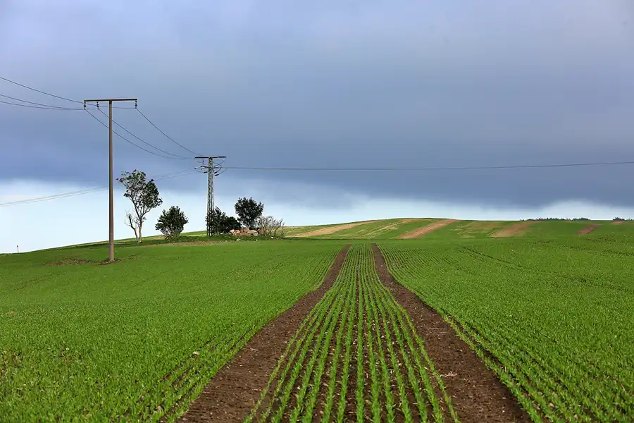 088 | 2020 | Blandow | © carsten riede fotografie