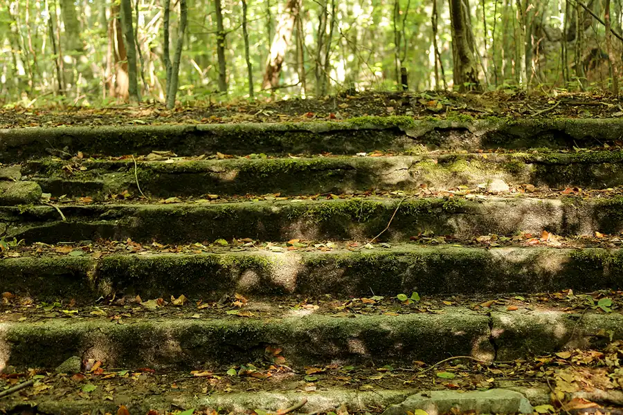 116 | 2020 | Sassnitz | Dwasieden | © carsten riede fotografie
