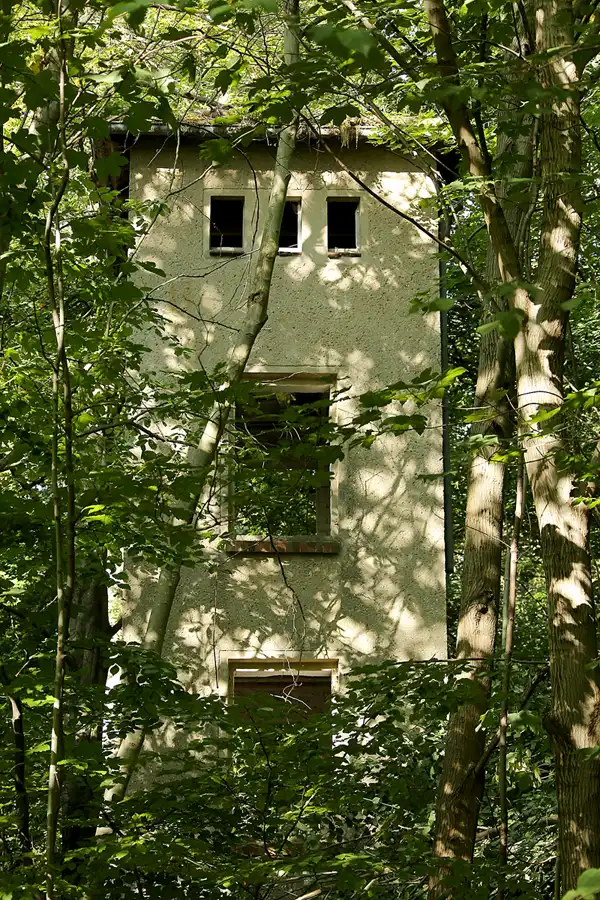 117 | 2020 | Sassnitz | Dwasieden | © carsten riede fotografie