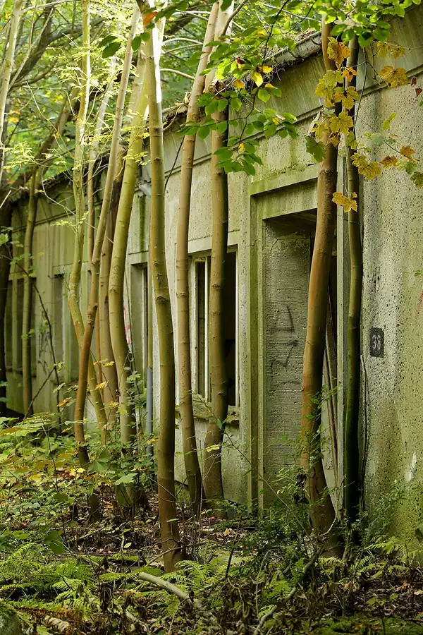 119 | 2020 | Sassnitz | Dwasieden | © carsten riede fotografie