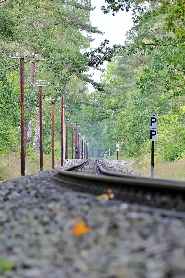 139 | 2020 | Göhren | © carsten riede fotografie