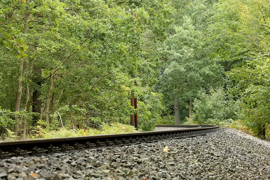 140 | 2020 | Göhren | © carsten riede fotografie