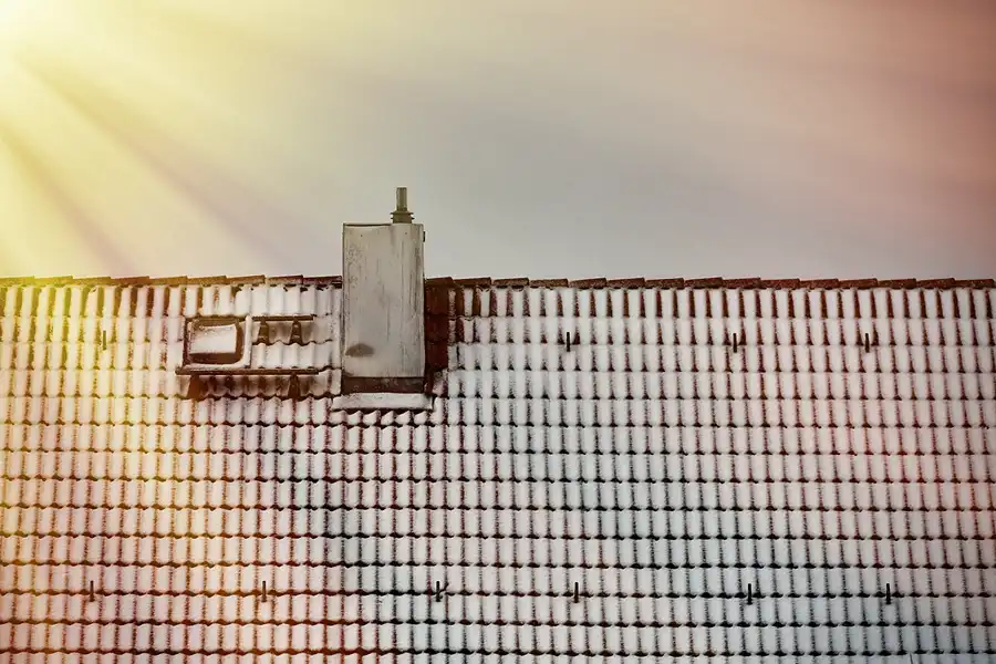 001 | 2021 | Berlin | © carsten riede fotografie