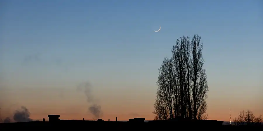 011 | 2021 | Berlin | © carsten riede fotografie