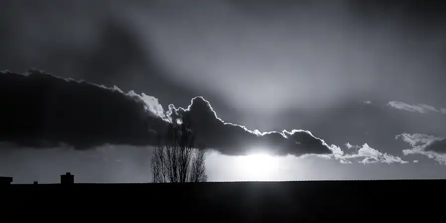 022 | 2021 | Berlin | © carsten riede fotografie