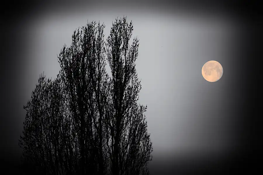 028 | 2021 | Berlin | © carsten riede fotografie