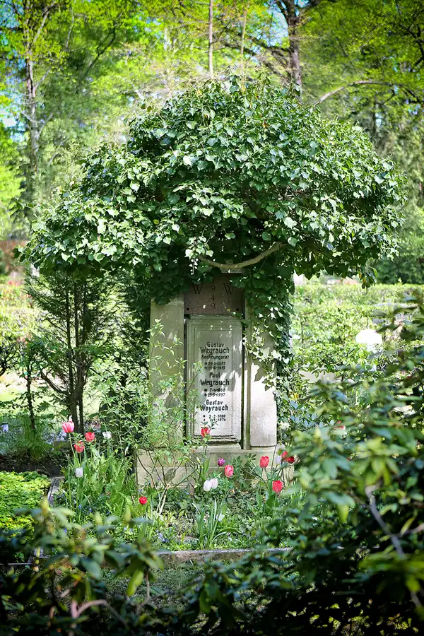 036 | 2021 | Berlin | Friedhof Steglitz | © carsten riede fotografie