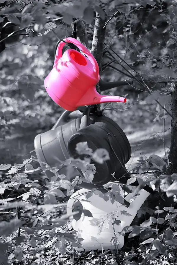 051 | 2021 | Berlin | Friedhof Steglitz | © carsten riede fotografie