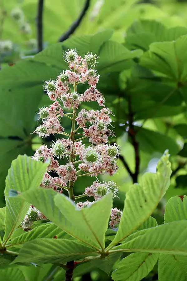 063 | 2021 | Fürstenberg | © carsten riede fotografie