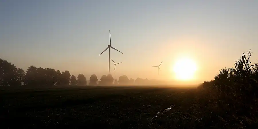 132 | 2021 | Freiwalde | © carsten riede fotografie