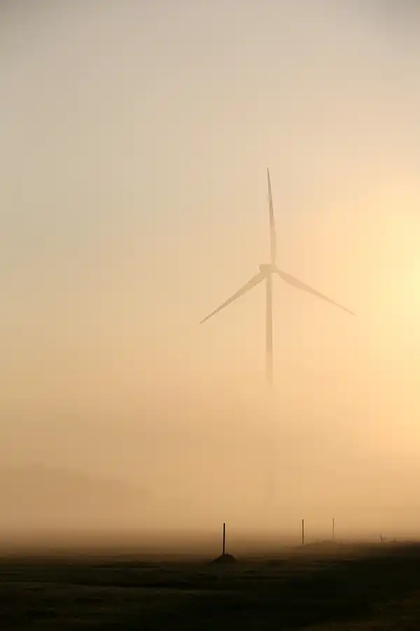 133 | 2021 | Freiwalde | © carsten riede fotografie