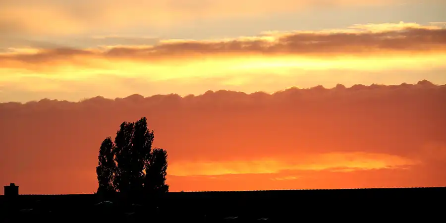 135 | 2021 | Berlin | © carsten riede fotografie