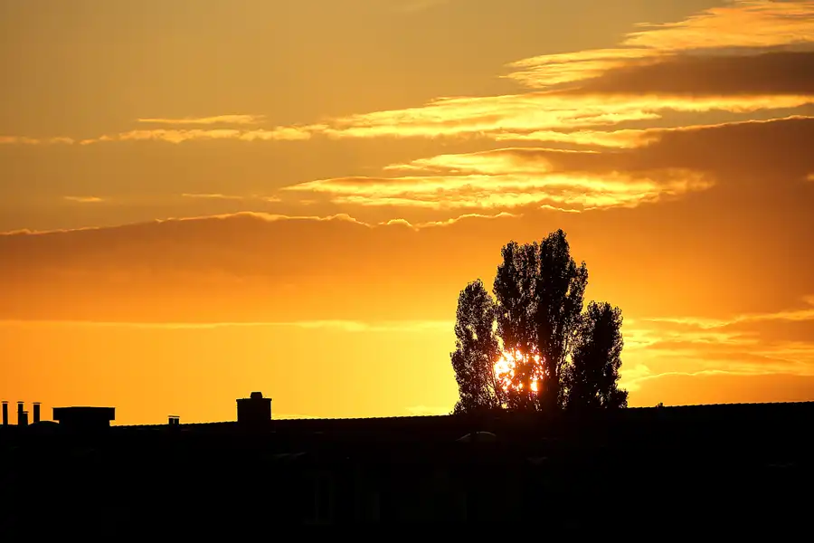 136 | 2021 | Berlin | © carsten riede fotografie