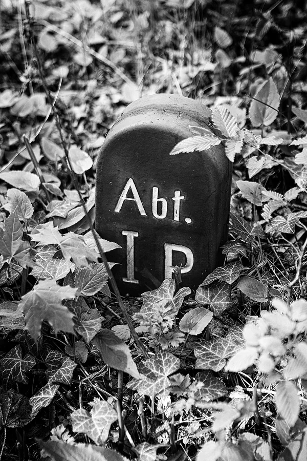 048 | 2021 | Berlin | Friedhof Steglitz | © carsten riede fotografie