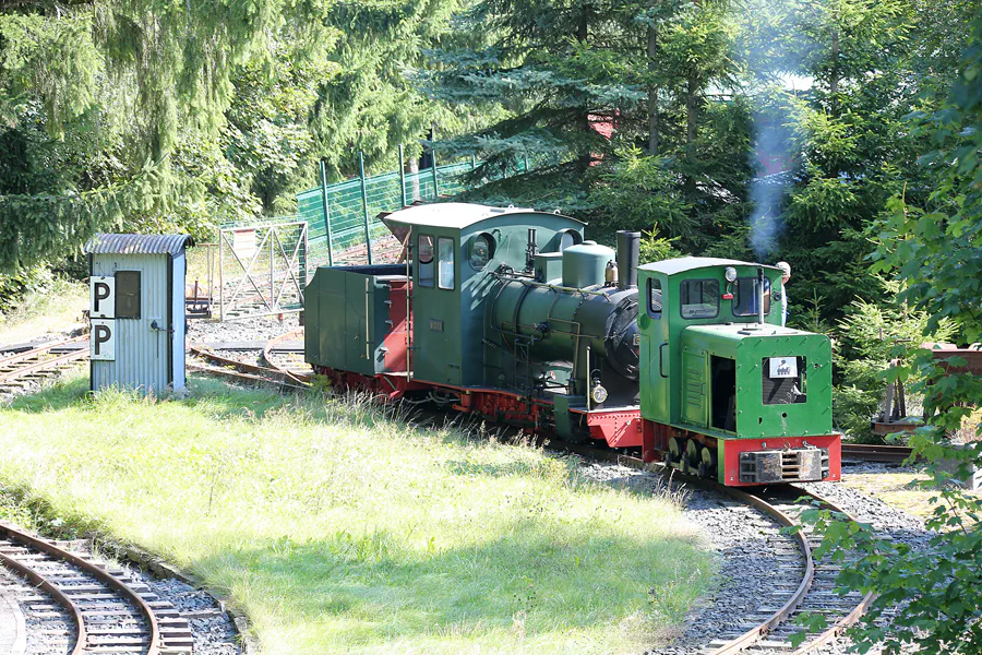 128 | 2021 | Lichtenhain/Bergbahn | Lichtenhainer Waldeisenbahn | © carsten riede fotografie