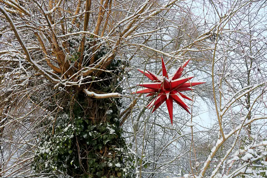 010 | 2021 | Berlin | Obersee-Orankesee-Park | © carsten riede fotografie