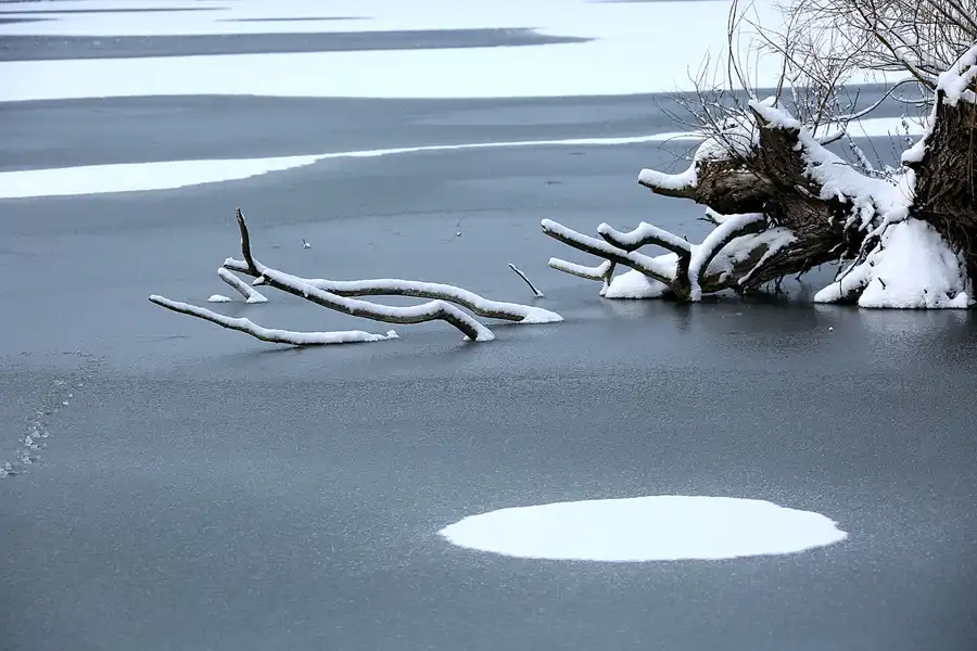 021 | 2021 | Berlin | Obersee-Orankesee-Park | © carsten riede fotografie