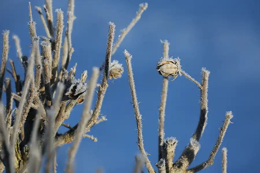 008 | 2021 | Berlin | Obersee-Orankesee-Park | © carsten riede fotografie