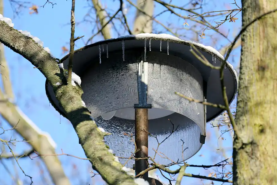 017 | 2021 | Berlin | Obersee-Orankesee-Park | © carsten riede fotografie