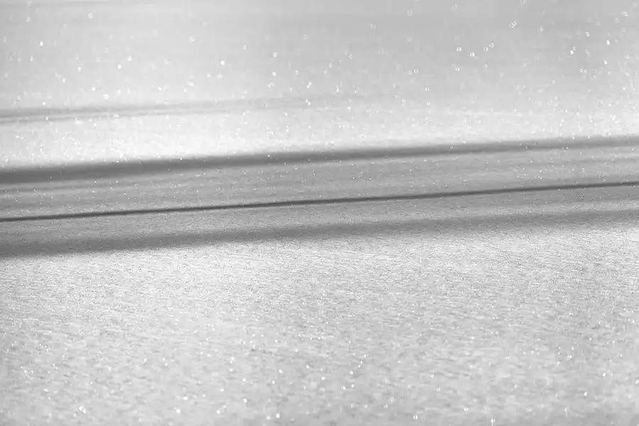 019 | 2021 | Berlin | Sportforum | © carsten riede fotografie