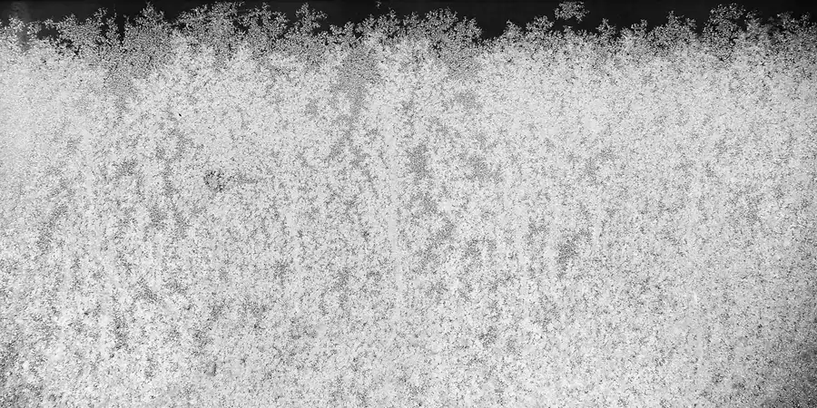 038 | 2021 | Berlin | © carsten riede fotografie