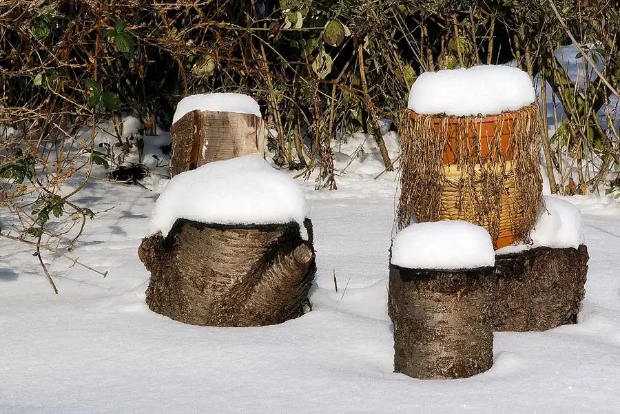 039 | 2021 | Berlin | Am Volkspark Prenzlauer Berg | © carsten riede fotografie