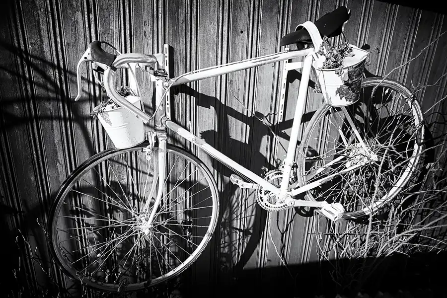 043 | 2021 | Berlin | Am Volkspark Prenzlauer Berg | © carsten riede fotografie