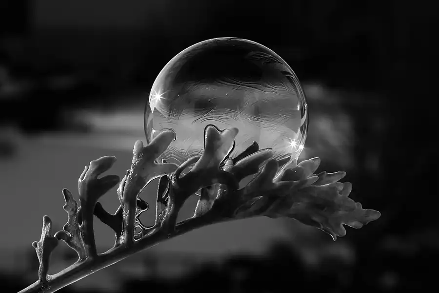 060 | 2021 | Berlin | Frozen Bubbles – Gefrorene Seifenblasen | © carsten riede fotografie