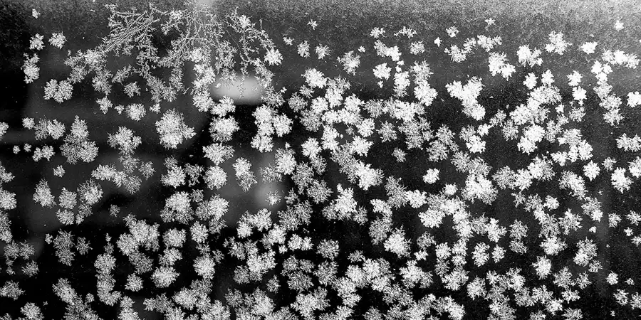 061 | 2021 | Berlin | © carsten riede fotografie