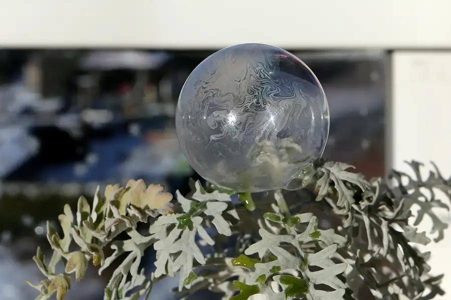 064 | 2021 | Berlin | Frozen Bubbles – Gefrorene Seifenblasen | © carsten riede fotografie