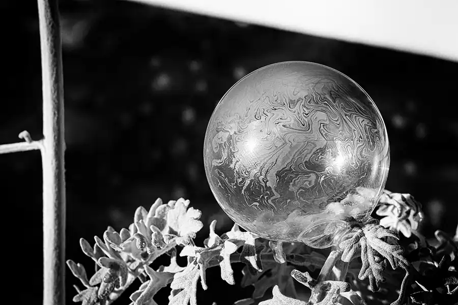 065 | 2021 | Berlin | Frozen Bubbles – Gefrorene Seifenblasen | © carsten riede fotografie