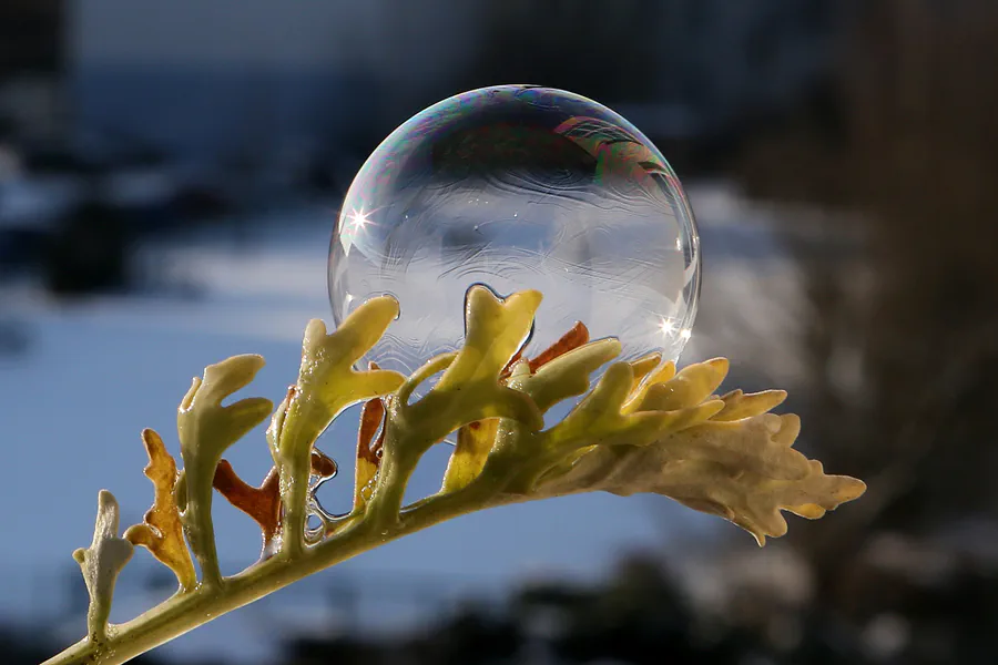 059 | 2021 | Berlin | Frozen Bubbles – Gefrorene Seifenblasen | © carsten riede fotografie